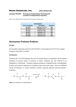 Novozymes Protease Products