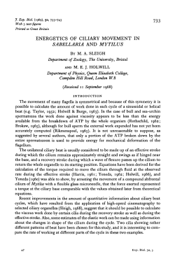 energetics of ciliary movement in sabellaria and mytilus