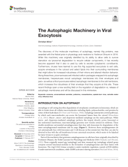 The Autophagic Machinery in Viral Exocytosis