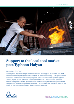 Support to the local tool market post