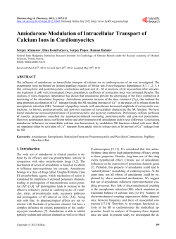 Amiodarone Modulation of Intracellular Transport of Calcium Ions in