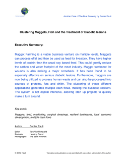 Clustering Maggots, Fish and the Treatment of