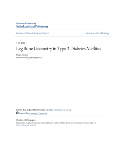 Leg Bone Geometry in Type 2 Diabetes Mellitus