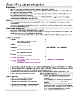 15 nerve fiber types and susceptibility to
