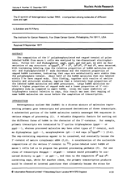 The composition of the 5" polyphosphorylated and capped termini of