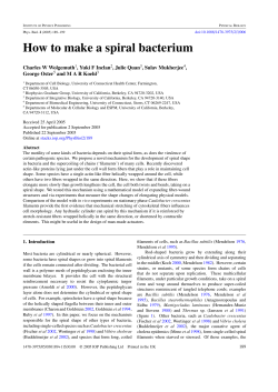 How to make a spiral bacterium - Integrative Biology