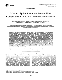 Maximal Sprint Speeds and Muscle Fiber
