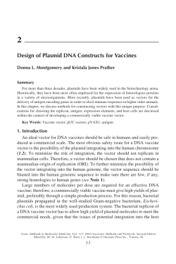 Design of Plasmid DNA Constructs for Vaccines