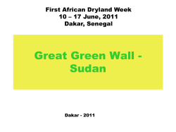 Great Green Wall - Sudan