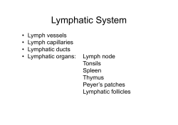 Lymphatic System