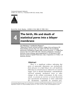 4 The birth, life and death of statistical pores into a bilayer membrane