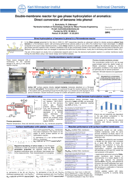 Double-membrane reactor for gas phase hydroxylation of aromatics