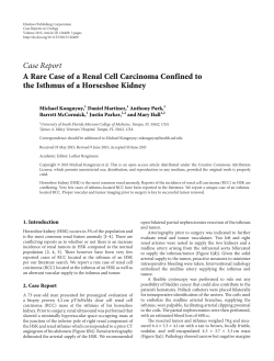 A Rare Case of a Renal Cell Carcinoma Confined to the Isthmus of a