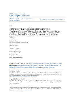 Mammary Extracellular Matrix Directs Differentiation of Testicular