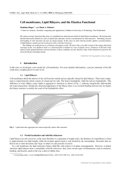 Cell membranes, Lipid Bilayers, and the Elastica Functional