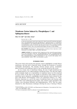 Membrane Fusion Induced by Phospholipase C and