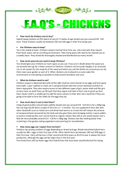 How much do chickens cost to buy?