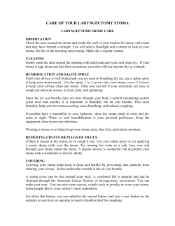 care of your laryngectomy stoma