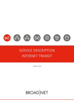service description internet transit