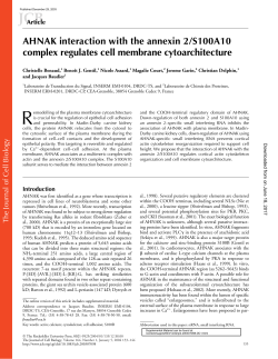 AHNAK interaction with the annexin 2/S100A10 complex regulates