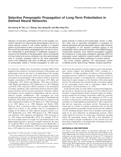 Selective Presynaptic Propagation of Long