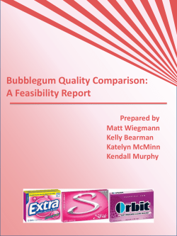 A Feasibility Report - Kelly Bearman`s E