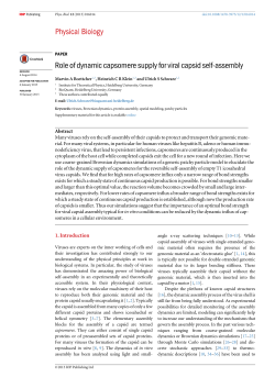 Role of dynamic capsomere supply for viral capsid