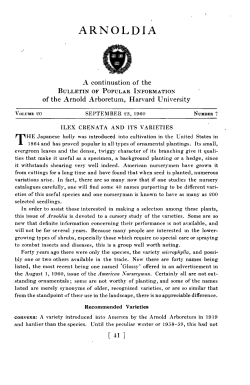 Ilex Crenata and Its Varieties - Arnoldia