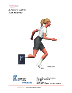 PDF Booklet - The Midwest Bone and Joint Institute