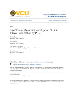 A Molecular Dynamics Investigation of Lipid Bilayer Perturbation by