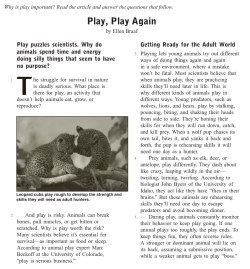 Play, Play Again