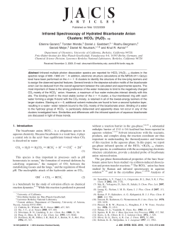 Infrared Spectroscopy of Hydrated Bicarbonate Anion