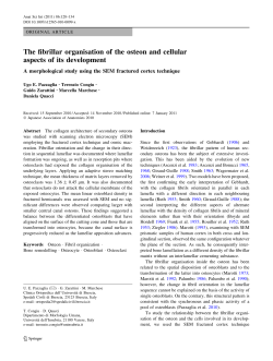 The fibrillar organisation of the osteon and cellular aspects of its
