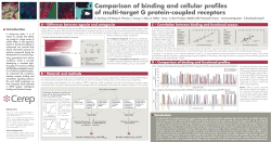 Comparison of binding and cellular profiles of multi-target G