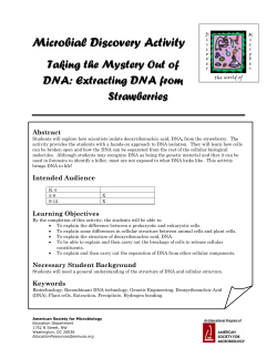 Microbial Discovery Activity Taking the Mystery Out of DNA