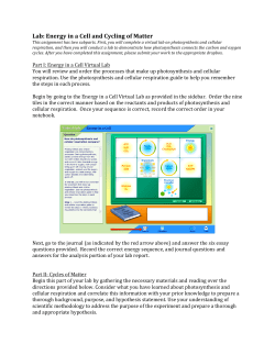 Lab: Energy in a Cell and Cycling of Matter