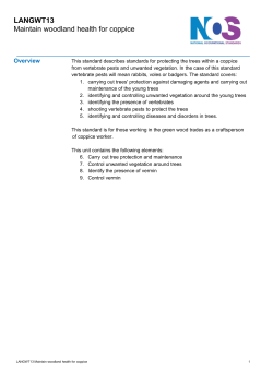 langwt13 - National Occupational Standards