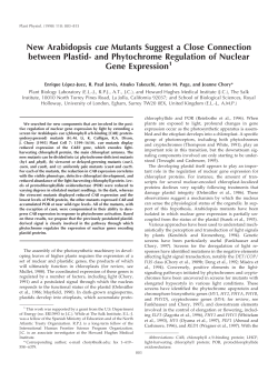and Phytochrome Regulation of Nuclear Gene Expression