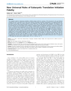 New Universal Rules of Eukaryotic Translation Initiation Fidelity