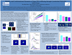 Mobility and Conformational Dynamics of large DNA diffusing