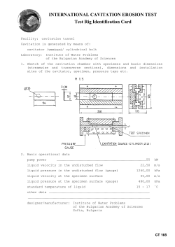 INTERNATIONAL CAVITATION EROSION TEST