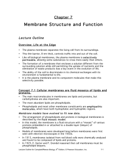 Membrane Structure and Function
