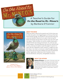 guide to On the Road to Mr. Mineo`s