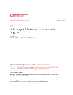 Evaluating the Effectiveness of an Internship Program