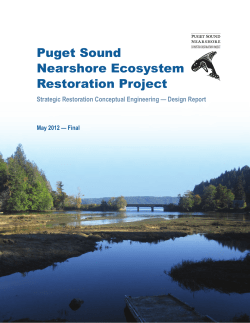 Full Chapter - Puget Sound Nearshore Ecosystem Restoration Project