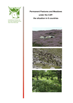Permanent Pastures and Meadows under the CAP