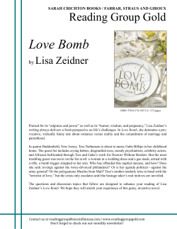 Love Bomb - Lisa Zeidner
