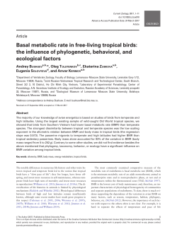 Basal metabolic rate in free-living tropical birds
