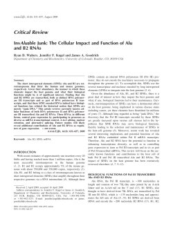 InvAluable junk: The cellular impact and function of Alu and B2 RNAs
