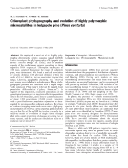 Chloroplast phylogeography and evolution of highly polymorphic